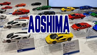 Aoshima at All Japan Model amp Hobby Show 2024 [upl. by Atiuqihc157]