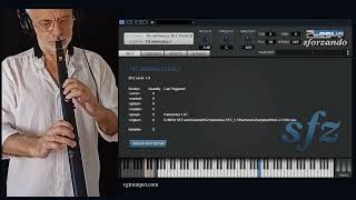 VG Harmonica SFZ sample library for Sforzando and Aria Player Robkoo Wind Synthesizer R1 [upl. by Ynehpets616]