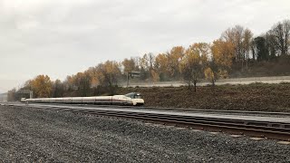 Amtrak Cascades Train 505 with the Mount Bachelor Talgo 8 Trainset Quietly Flies Past South Seattle [upl. by Derrek330]