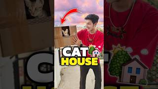 New House For My Cats 💀😀  Mini Vlog shorts minivlog ashortaday vlog tranding cat [upl. by Tehc]