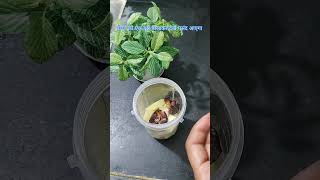 Ekdam sachchi baat healthydrink shortsrecipe [upl. by Ariaet]