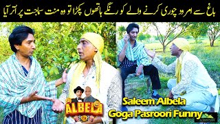 Goga Pasroori Amrood Chor  Saleem Albela nay Pakkar Lia Funny Video [upl. by Natanhoj]