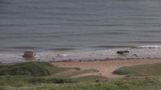 WN 62 Easy Red Sector Omaha Beach  10 Minute tour of resistance nest 2009 [upl. by Cristabel]