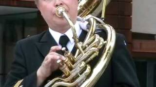 Carnival of Venice sousaphone solo by Matti Laiho [upl. by Brownson16]