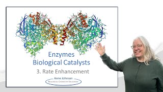 Enzymes  Biological Catalysts pt 3 rate enhancement [upl. by Greenburg]