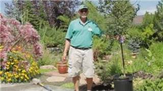 Garden Tips  How to Plant Flowering Crabapple Trees [upl. by Irroc332]