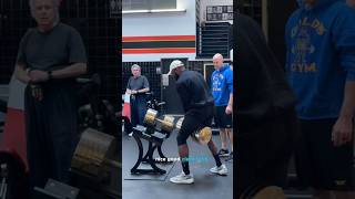 Saving the day by Moving the 330 pound Gold dumbbells at golds gym Venice [upl. by Sone]