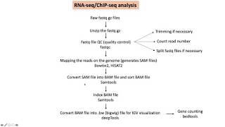 Bioinformatics101Overview of RNAseq and ChIPseq analysis [upl. by Magnien]