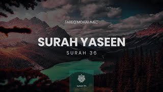 Surah Yaseen  QariTareqMohammed  سورة يس  القارئ طارق محمد [upl. by Dorice]