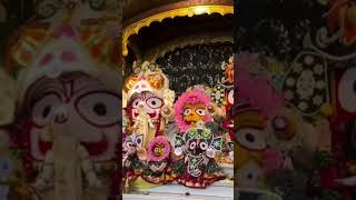 Jay Jagannath song newsong garba love odia [upl. by Ellevehs736]