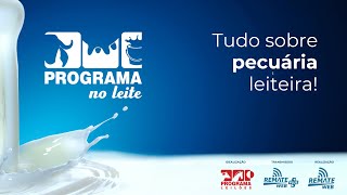 PROGRAMA NO LEITE • Leilões e informações da pecuária leiteira [upl. by Willette]