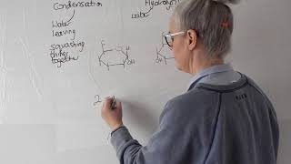 Condensation and hydrolysis reactions of glucose [upl. by Netsyrc]