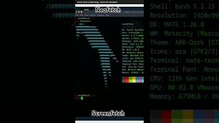 Neofetch amp Screenfetch to Display System Info On Linux [upl. by Cullin448]