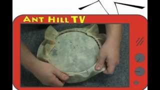 Ant Hill TV  How to replaceinstall a calf skin head on a banjo ukulele [upl. by Enimassej318]