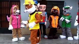 PATRULLA CANINA BAILANDO EN LA VIDA REAL [upl. by Natividad]