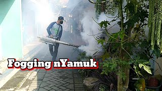 fogging nyamuk [upl. by Timothee]