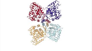 Tyrosine hydroxylase [upl. by Arihsat]