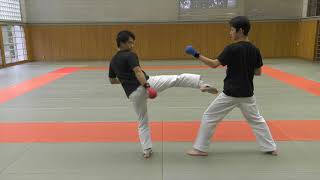 【KARATE TUTORIAL】Kumite Tactics Against Bigger Opponents [upl. by Noillimaxam740]