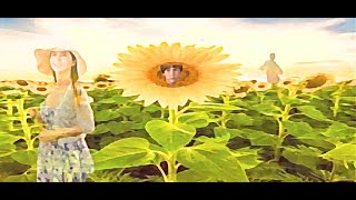 Les tournesols de Marc Lavoine [upl. by Dajma]