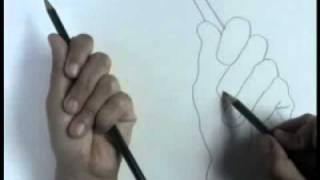 Contour Line Drawing Tutorial [upl. by Fevre140]