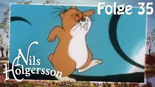 Nils Holgersson 🌱 Folge 35 Der Waldbrand 🌱 Die KlassikSerie [upl. by Pascale]