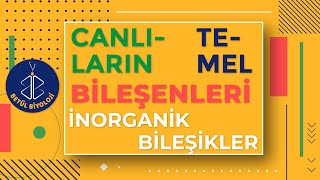 İnorganik Bileşikler Konu Anlatımı  9 Sınıf  TYT Biyoloji [upl. by Aisile871]