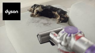 The new Dyson V8™ cordless vacuum Powerful and low noise [upl. by Attenyt]