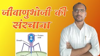 Structure Of Bacteriophage  T4 Bacteriophage  Microbiology  By Ashish Sir  Coliphage Virus [upl. by Blank370]