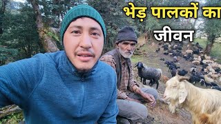 पहाड़ों में भेड़पालकों का जनजीवन  Vishudi Tal Trek  Cool Pahadi [upl. by Juieta]