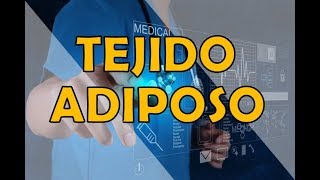 TEJIDO ADIPOSO [upl. by Adnol]