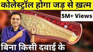 6 Most Effective Home Remedies For Cholesterol कोलेस्ट्रॉल के लिए रामबाण घरेलु इलाज [upl. by Torto865]