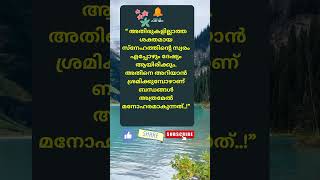 Motivational quotes Malayalam motivation Buddha quotes Relax and Smile [upl. by Nafri]