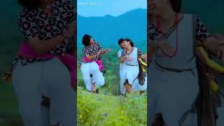 Mahula Jhare 20  Sambalpuri New song  Tularam kalet  ytshorts sambalpurisong [upl. by Adnilev]