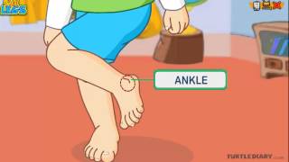 Learn the Parts of the Body  THE LEG  COOL Science for Kids [upl. by Ham]