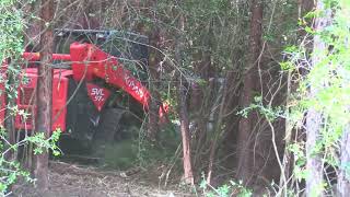 Clearing Land with Forestry Mulcher Transforming 25 Acres of Land for Homestead  off grid living [upl. by Ynettirb]