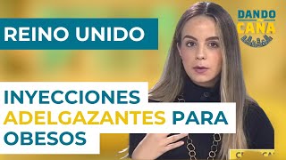 Reino Unido estudia recetar inyecciones adelgazantes para que los obesos vuelvan al trabajo [upl. by Aerdnahs]