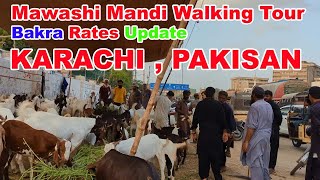 Bakra Eid Special  Mawashi Mandi Walking Tour amp Bakra Rates Update  Karachi Pakistan [upl. by Vander]