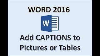 Word 2016  Picture Captions  How to Insert a Text Caption in an Image MS Office Microsoft Tutorial [upl. by Enitsrik921]