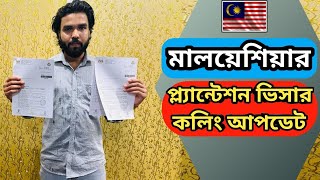 মালয়েশিয়ার প্লানটেশন কলিং ভিসা। প্লানটেশন কাজে কষ্ট কেমন Plantation Work calling Visa Malaysia 2024 [upl. by Mansur633]