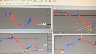 FOREX Trading Review amp Proof Using the Agimat Tool Averaging 24 Daily LEGALLY [upl. by Pell]