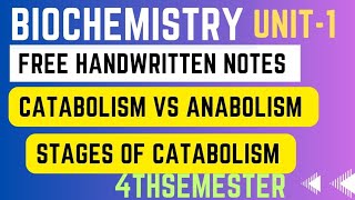 Overview of metabolism ll catabolism vs anabolism ll stages of catabolism ll anabolism ll catabolism [upl. by Jonie]