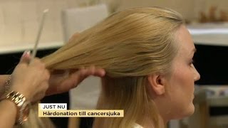 Möt frisörsalongen som donerar hår till cancersjuka  Nyhetsmorgon TV4 [upl. by Thant]