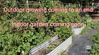 October garden update Indoor garden coming soon garden gardening [upl. by Lareena]