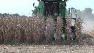 Geringhoff Rota Disc at Virgina Field Day [upl. by Gennifer376]