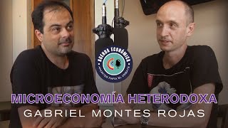 Agenda Económica  Gabriel Montes Rojas  Microeconomía heterodoxa [upl. by Nauwtna]