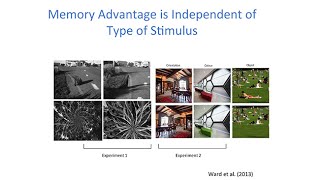 Variations of the MindJamie Ward SynaesthesiaFrom Extraordinary Experiences to Enhanced Abilities [upl. by Engdahl]