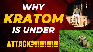 Kratom Kingdom videos explore the good and bad of kratom as well as a vlog [upl. by Asilej]