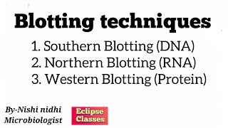 blotting techniques  byNishi Nidhi  general Microbiology  eclipse classes [upl. by Rannug]