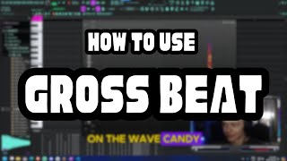 How To Use Gross Beat In FL Studio 2024 [upl. by Nannek]