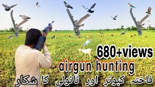 airgun hunting ☺hunting birds  air gun  birdhuntinghunting  shikar shikari  huntingseason [upl. by Steffen]